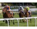  Carrera: P.Velayos Monta: R.Sousa Caballo: Cheaper